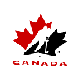 Logo A.C.H. anim�